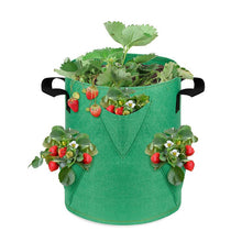 Load image into Gallery viewer, Strawberry Planting Bag Gardening Planting Bag Multi-pocket