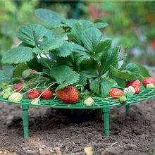 Load image into Gallery viewer, Handy strawberry supports for your garden Strawberry stand(2PCS)