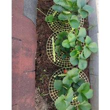 Load image into Gallery viewer, Handy strawberry supports for your garden Strawberry stand(2PCS)