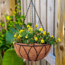 Load image into Gallery viewer, Basket coconut palm receptacle orchid pot with chain family garden decoration