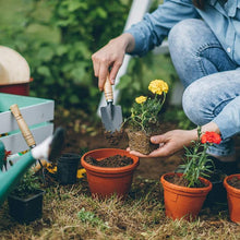 Load image into Gallery viewer, 9 Pieces / Set Mini gardening tools 1 set digging weeder rake with storage bag