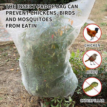Load image into Gallery viewer, Reusable Insect Protection Net Anti Butterfly Garden Plant Protection Net