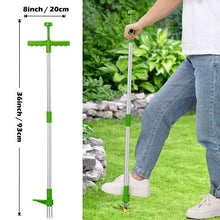 Load image into Gallery viewer, Long Handle Weed Remover Durable