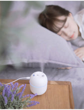 Load image into Gallery viewer, 220ML Mini Ultrasonic Air Humidifier LED Lamp USB Essential Oil Diffuser