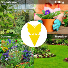 Load image into Gallery viewer, 24 Pack Dual-Sided Fly Bug Insect Sticky Traps