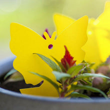 Load image into Gallery viewer, 24 Pack Dual-Sided Fly Bug Insect Sticky Traps