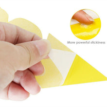 Load image into Gallery viewer, 24 Pack Dual-Sided Fly Bug Insect Sticky Traps