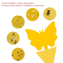 Load image into Gallery viewer, 24 Pack Dual-Sided Fly Bug Insect Sticky Traps