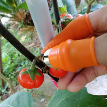 Load image into Gallery viewer, Farm Vegetable Fruit Picker Pickle Pepper Pickle Tip Picker Iron Nail Pick