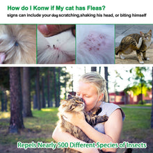 Load image into Gallery viewer, Dog cat Collar Anti Flea Mosquitoes Ticks Insect Waterproof Herbal Pet Collar