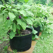 Load image into Gallery viewer, Felt Plants Growing Bag Vegetable Flower Potato Pot Container Garden Planting Basket