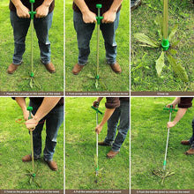 Load image into Gallery viewer, Long Handle Weed Remover Durable