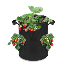 Load image into Gallery viewer, Strawberry Planting Bag Gardening Planting Bag Multi-pocket

