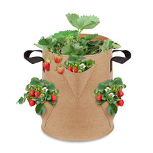 Load image into Gallery viewer, Strawberry Planting Bag Gardening Planting Bag Multi-pocket
