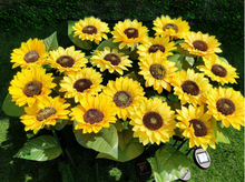 Load image into Gallery viewer, Garden lights Solar LED Light Waterproof Sunflower Lawn Light
