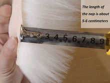 Load image into Gallery viewer, Soft Fluffy Rugs Anti-Skid Shaggy Area Rug For Home
