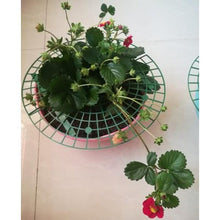 Load image into Gallery viewer, Handy strawberry supports for your garden Strawberry stand（2PCS）
