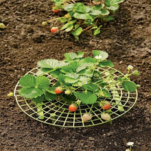 Load image into Gallery viewer, Handy strawberry supports for your garden Strawberry stand（2PCS）
