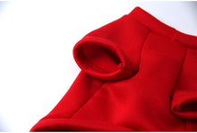 Load image into Gallery viewer, Dog Clothes Winter Warm Pet Dog Jacket Coat  Outfit XS-2XL
