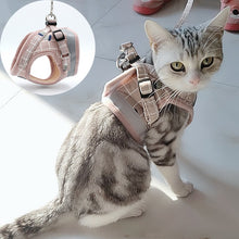Load image into Gallery viewer, Summer mesh fashion Plaid cat strap and belt cover
