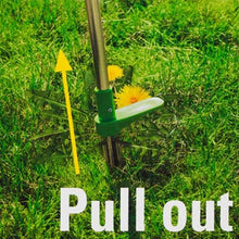 Load image into Gallery viewer, Long Handle Weed Remover Durable
