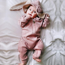 Load image into Gallery viewer, Spring and autumn baby cute one-piece clothes 0-2 years old
