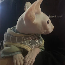 Load image into Gallery viewer, Summer mesh fashion Plaid cat strap and belt cover
