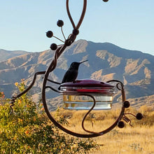 Load image into Gallery viewer, Long bird feeder yard bird feeder raspberry hummingbird feeder
