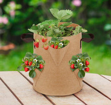 Load image into Gallery viewer, Strawberry Planting Bag Gardening Planting Bag Multi-pocket
